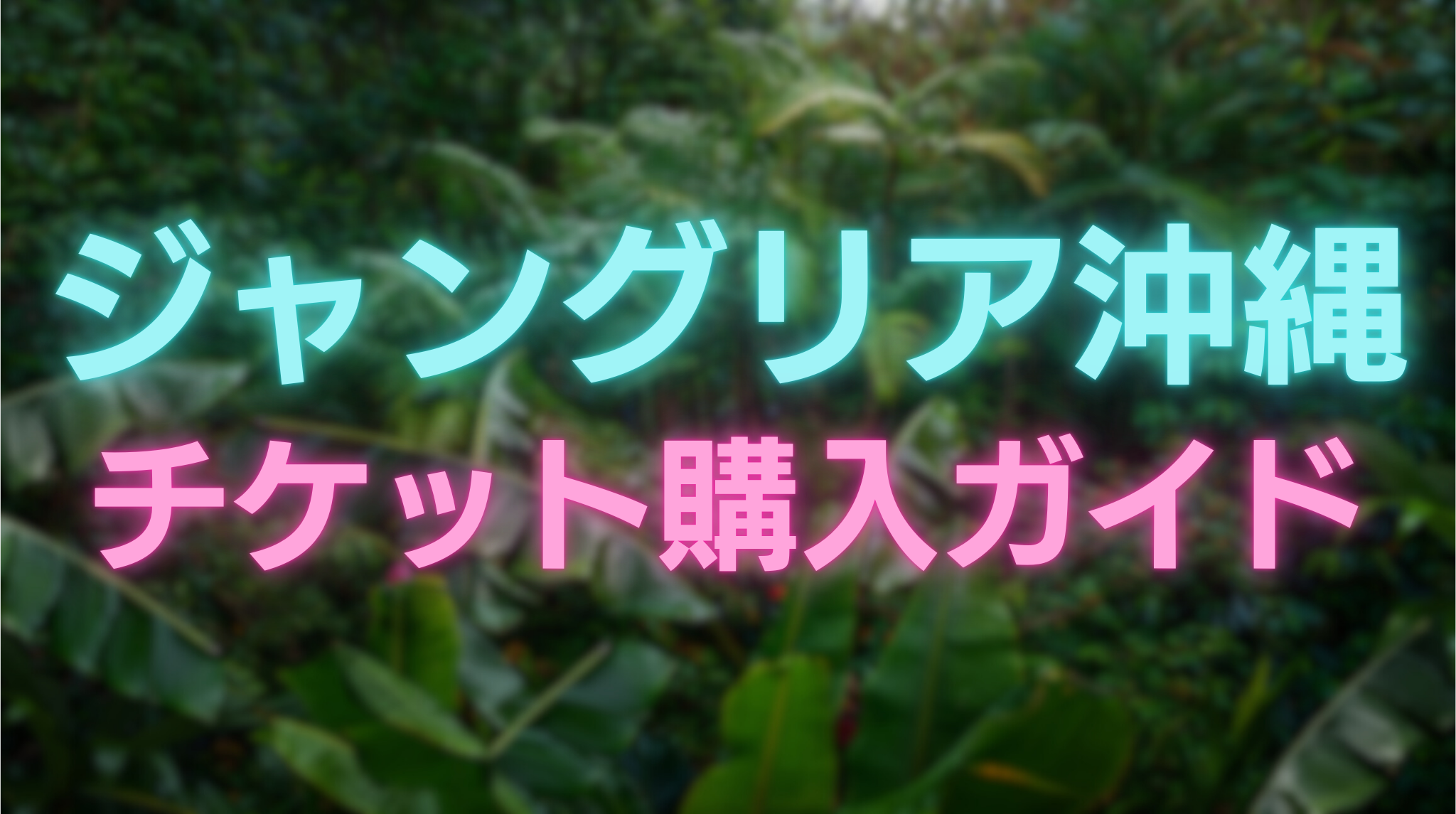 ジャングリアのチケット購入ガイド