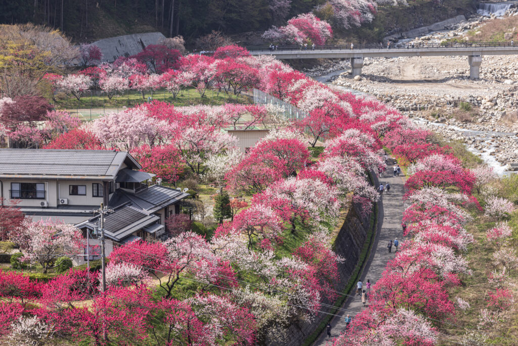 長野県の阿智村