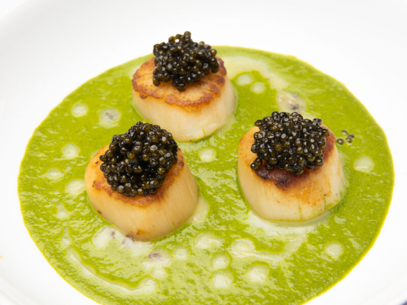 ポナンの食事イメージ